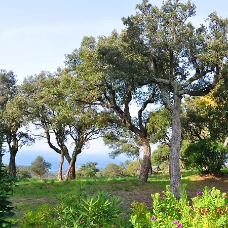 Βίλα Plein Ciel *